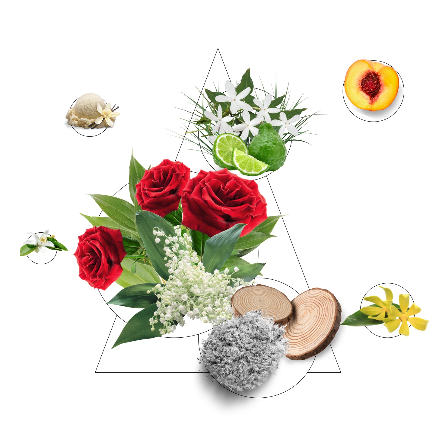 Scented concentrate for washing Charme