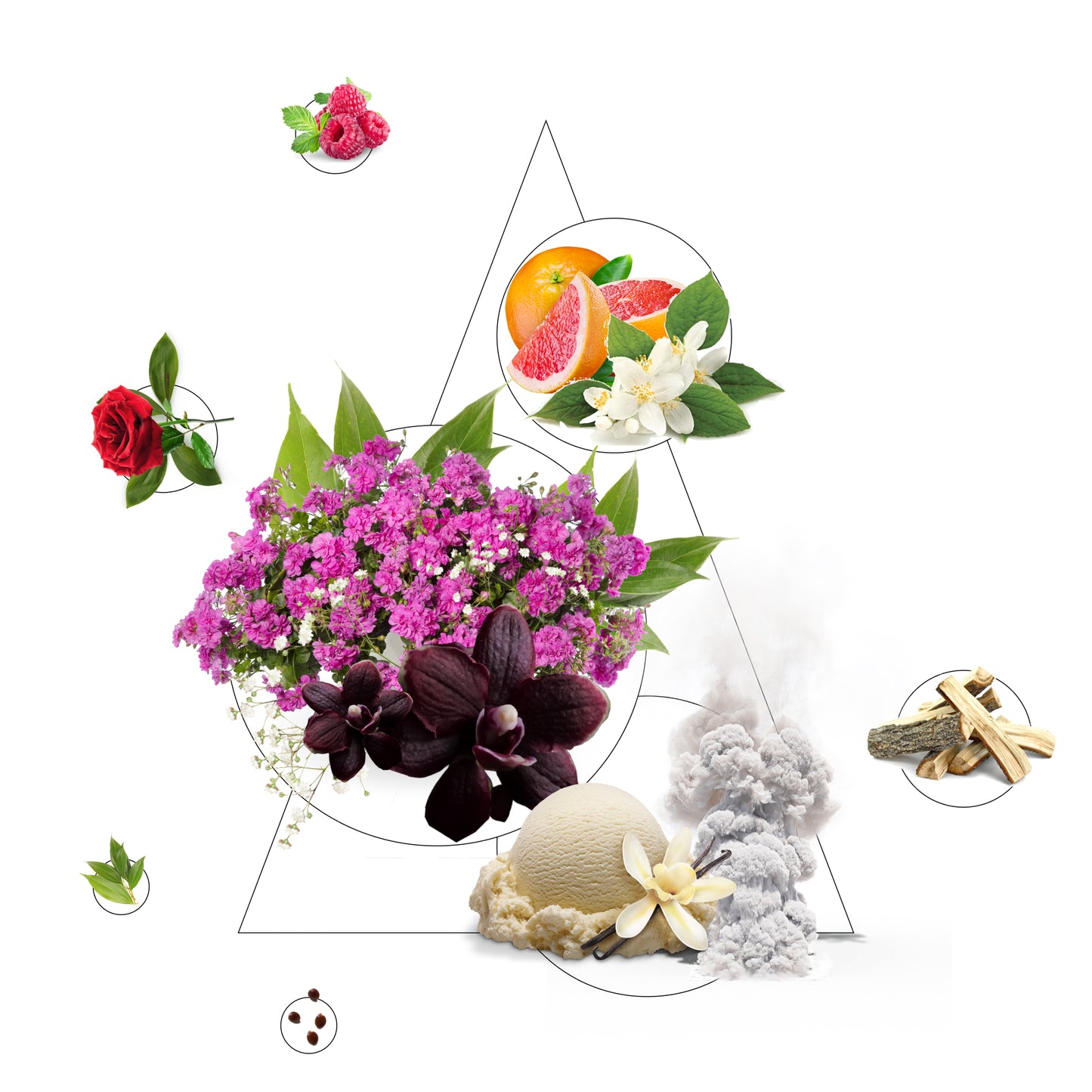 Wooden Sticks Diffuser Orchidea Nera